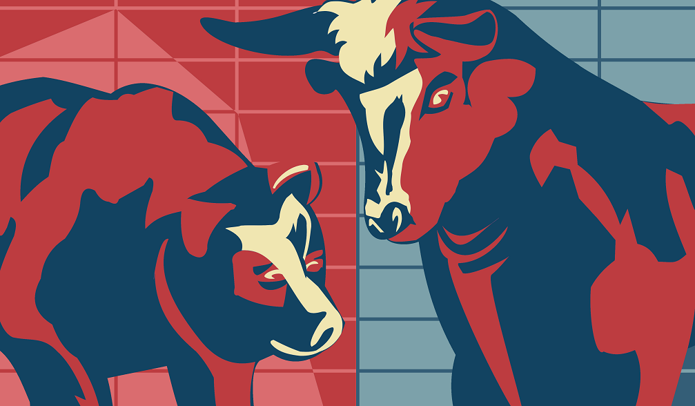 healthcare bull market