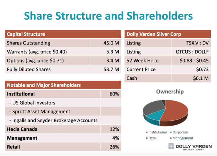Dolly Varden Silver share structure