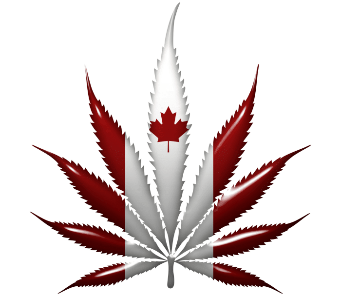 Canadian marijuana market seeks exports