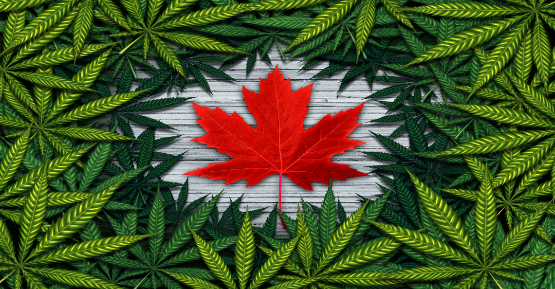 Canadian Marijuana Sector faces opportunity
