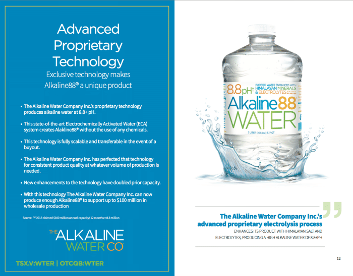 What makes Alkaline88 unique