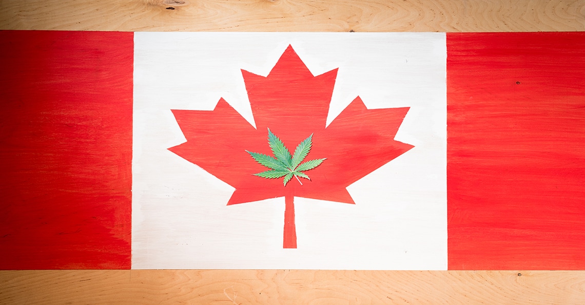 marijuana leaf on canadian flag
