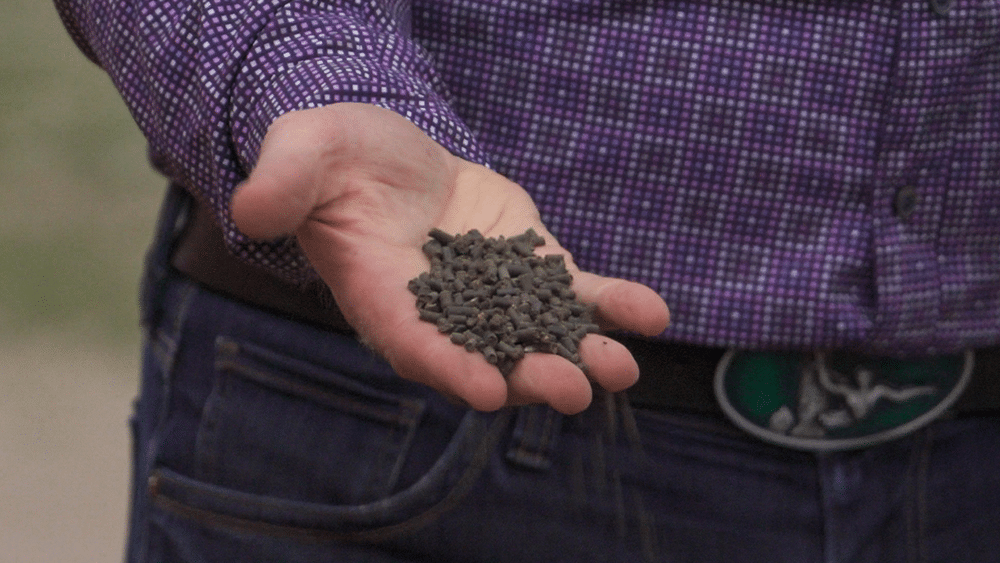 EarthRenew's base organic fertilizer formulation in its pelleted form factor.