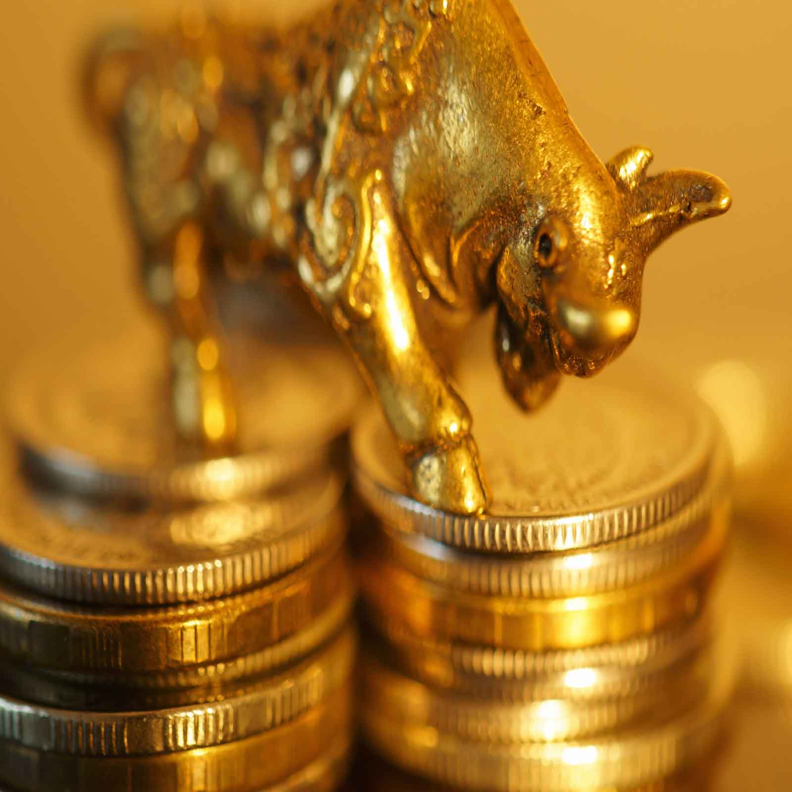 the new gold bull market has begun